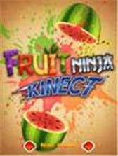 game pic for Fruit Ninja Kinect  touch